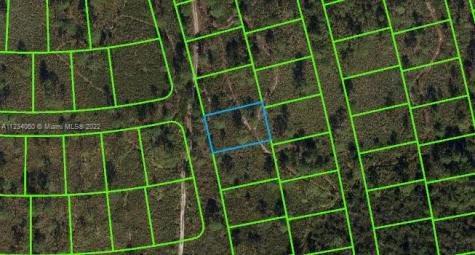 4420 Fettuccine Avenue Sebring FL 33872
