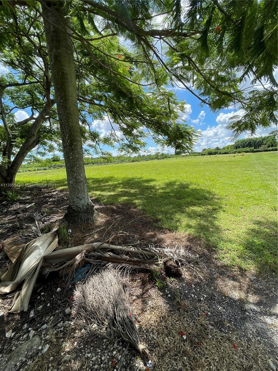 19890 SW 180th Street Miami FL 33187